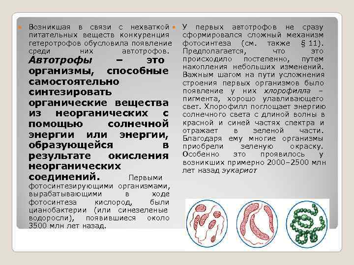   Возникшая в связи с нехваткой У первых автотрофов не сразу питательных веществ