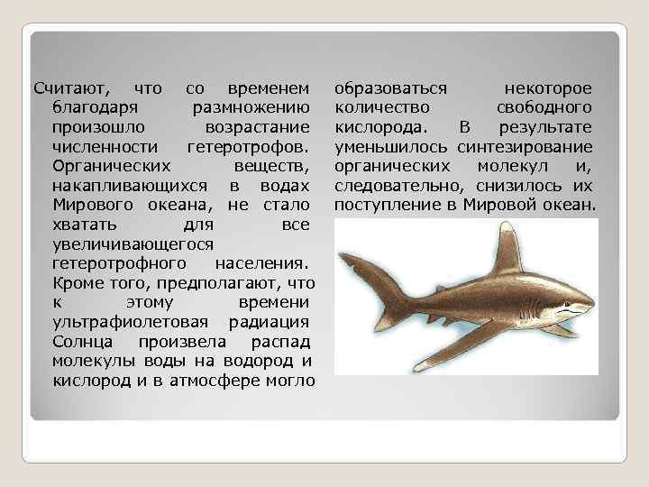 Считают,  что со временем   образоваться  некоторое  благодаря  размножению