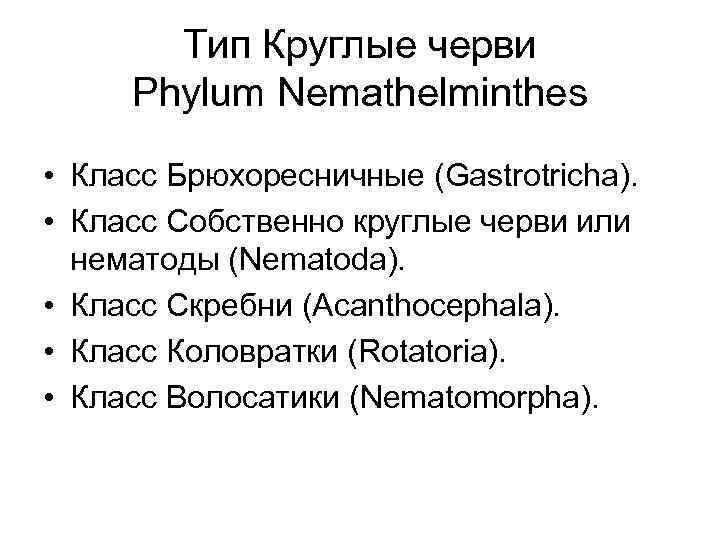 Тип Круглые черви Phylum Nemathelminthes • Класс Брюхоресничные (Gastrotricha). • Класс Собственно круглые черви