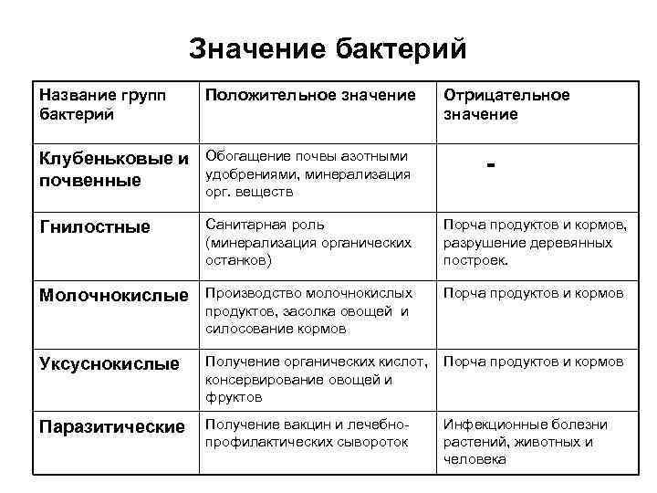    Значение бактерий Название групп  Положительное значение   Отрицательное бактерий