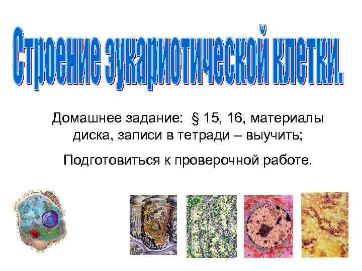 Домашнее задание: § 15, 16, материалы диска, записи в тетради – выучить; Подготовиться к