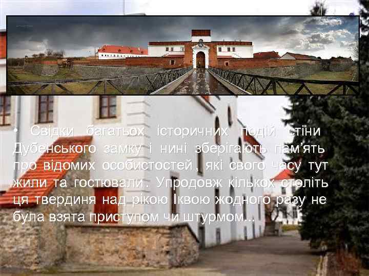  •  Свідки багатьох історичних подій стіни      