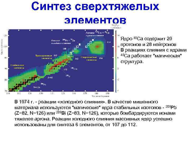  Синтез сверхтяжелых  элементов     Ядро 48 Са содержит 20