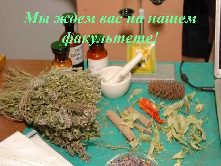 Мы ждем вас на нашем факультете! 