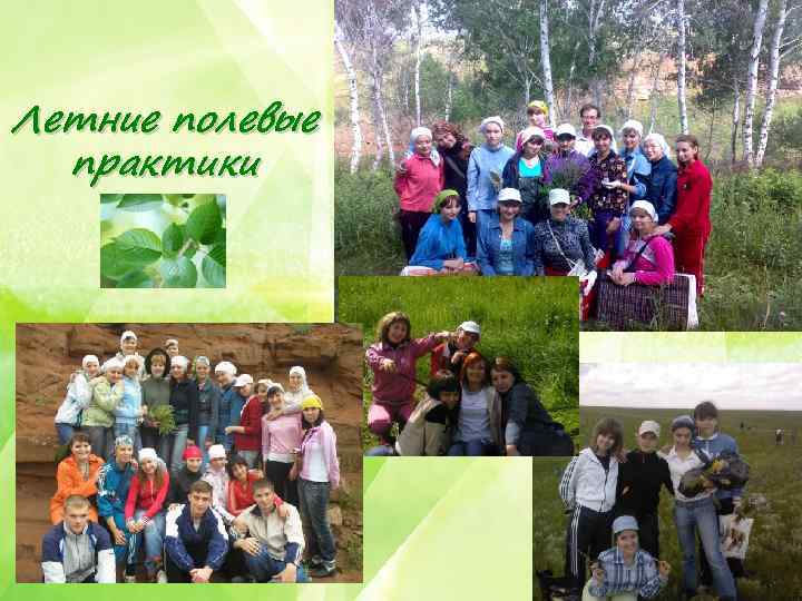 Летние полевые  практики 