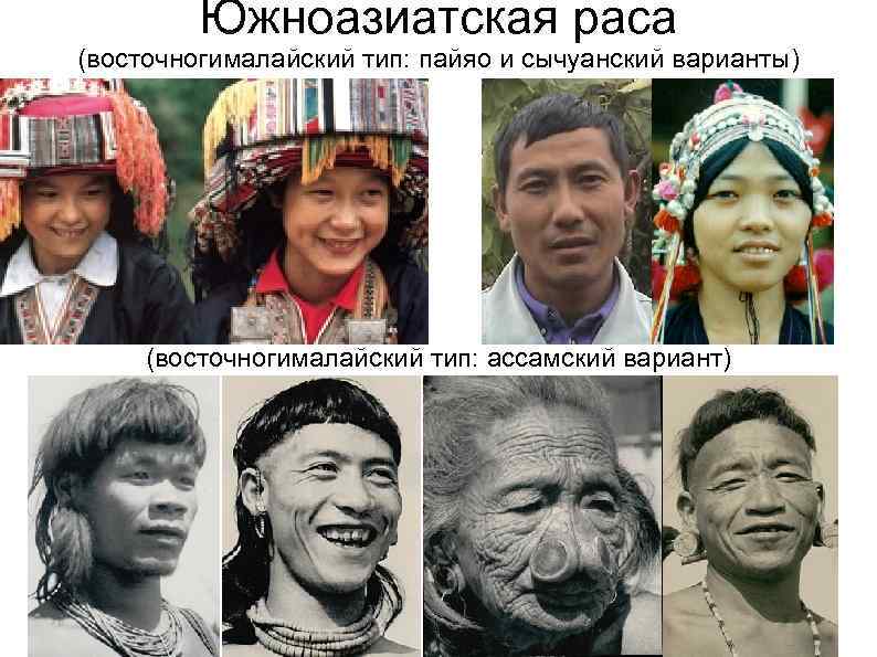 Восточно балтийская раса фото