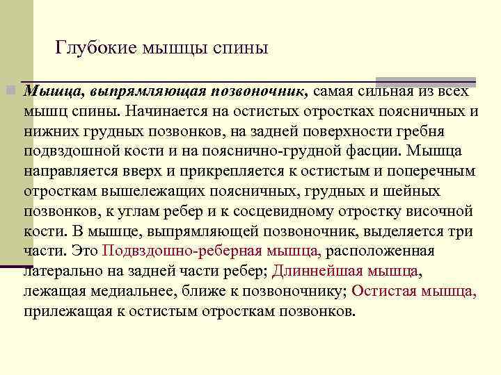 Глубокие мышцы спины n Мышца, выпрямляющая позвоночник, самая сильная из всех  мышц