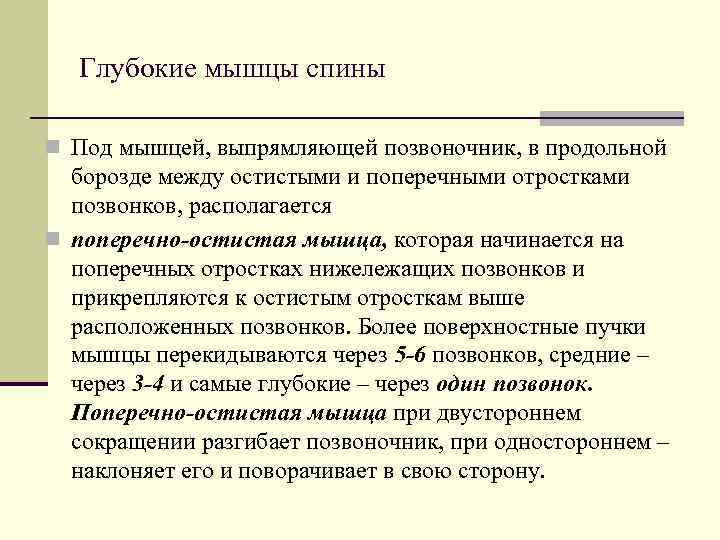   Глубокие мышцы спины n Под мышцей, выпрямляющей позвоночник, в продольной  борозде