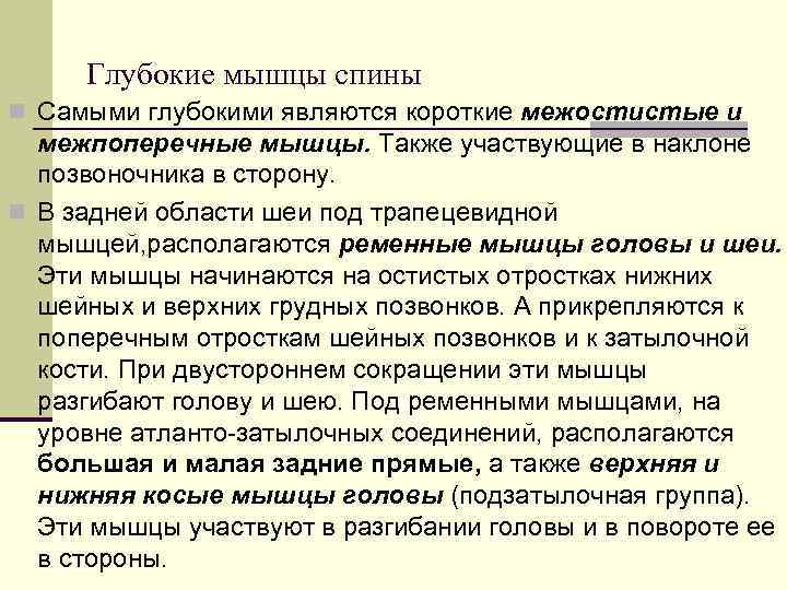  Глубокие мышцы спины n Самыми глубокими являются короткие межостистые и  межпоперечные мышцы.