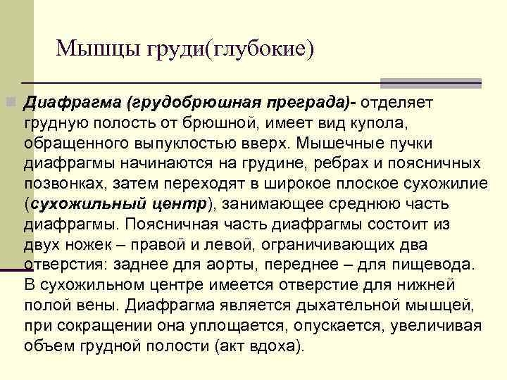  Мышцы груди(глубокие) n Диафрагма (грудобрюшная преграда)- отделяет грудную полость от брюшной, имеет вид