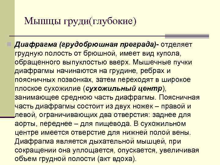   Мышцы груди(глубокие) n Диафрагма (грудобрюшная преграда)- отделяет грудную полость от брюшной, имеет