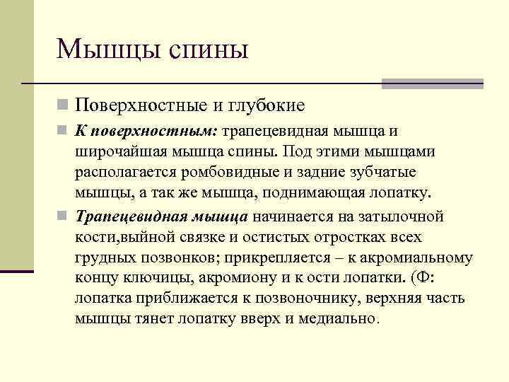 Мышцы спины n Поверхностные и глубокие n К поверхностным: трапецевидная мышца и  широчайшая
