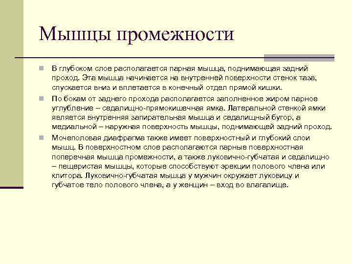 Мышцы промежности n В глубоком слое располагается парная мышца, поднимающая задний  проход. Эта