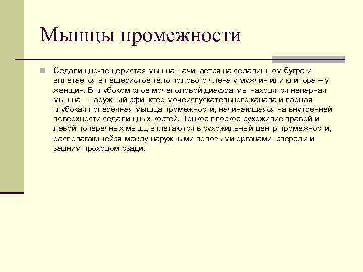 Мышцы промежности n  Седалищно-пещеристая мышца начинается на седалищном бугре и вплетается в пещеристое