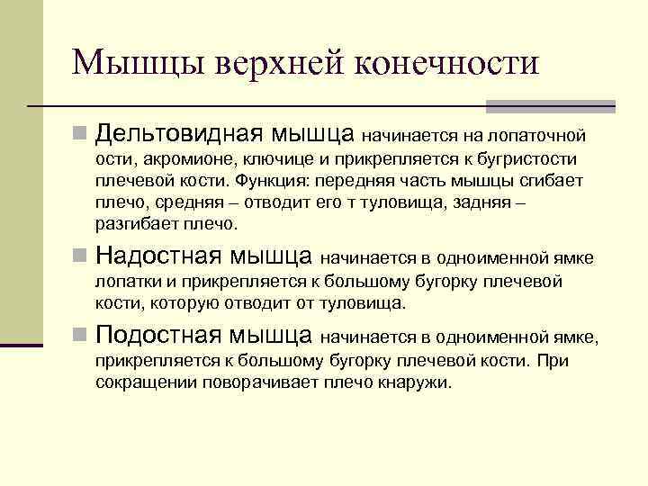 Мышцы верхней конечности n Дельтовидная мышца  начинается на лопаточной ости, акромионе, ключице и