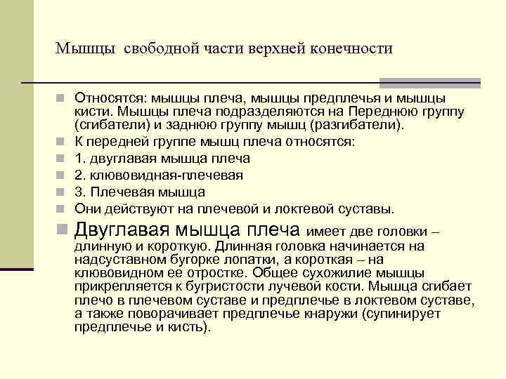 Мышцы свободной части верхней конечности n Относятся: мышцы плеча, мышцы предплечья и мышцы кисти.