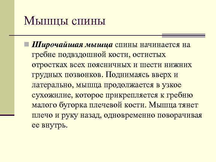 Мышцы спины n Широчайшая мышца спины начинается на гребне подвздошной кости, остистых отростках всех
