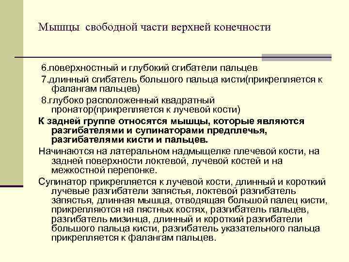 Мышцы свободной части верхней конечности  6. поверхностный и глубокий сгибатели пальцев 7. длинный