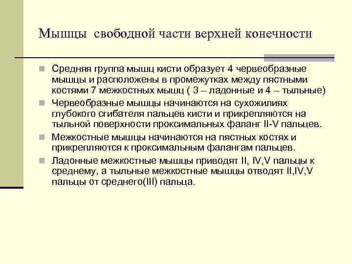 Мышцы свободной части верхней конечности n Средняя группа мышц кисти образует 4 червеобразные 