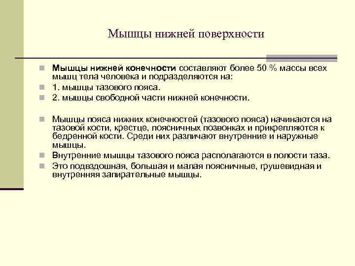     Мышцы нижней поверхности n Мышцы нижней конечности составляют более 50