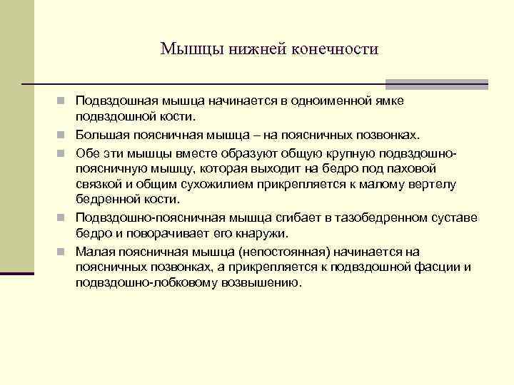     Мышцы нижней конечности n Подвздошная мышца начинается в одноименной ямке