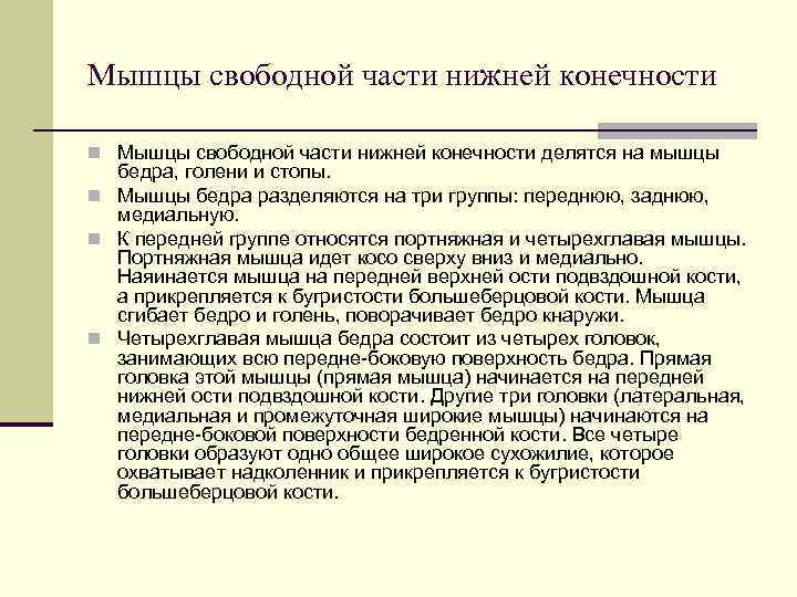 Мышцы свободной части нижней конечности n Мышцы свободной части нижней конечности делятся на мышцы