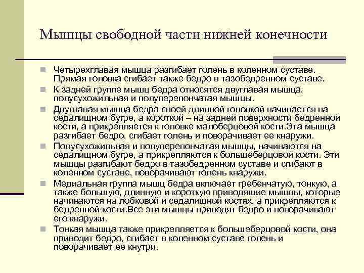 Мышцы свободной части нижней конечности n Четырехглавая мышца разгибает голень в коленном суставе. Прямая