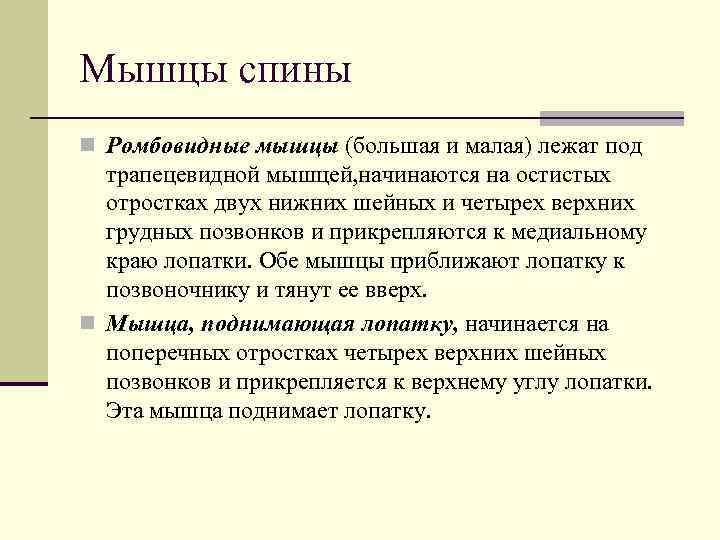 Мышцы спины n Ромбовидные мышцы (большая и малая) лежат под  трапецевидной мышцей, начинаются