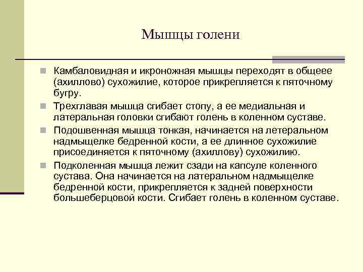     Мышцы голени n Камбаловидная и икроножная мышцы переходят в общеее