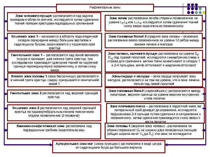      Рефлекторные зоны Зона мочевого пузыря располагается над задним проходом
