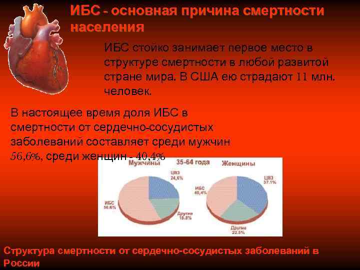   ИБС - основная причина смертности   населения    ИБС