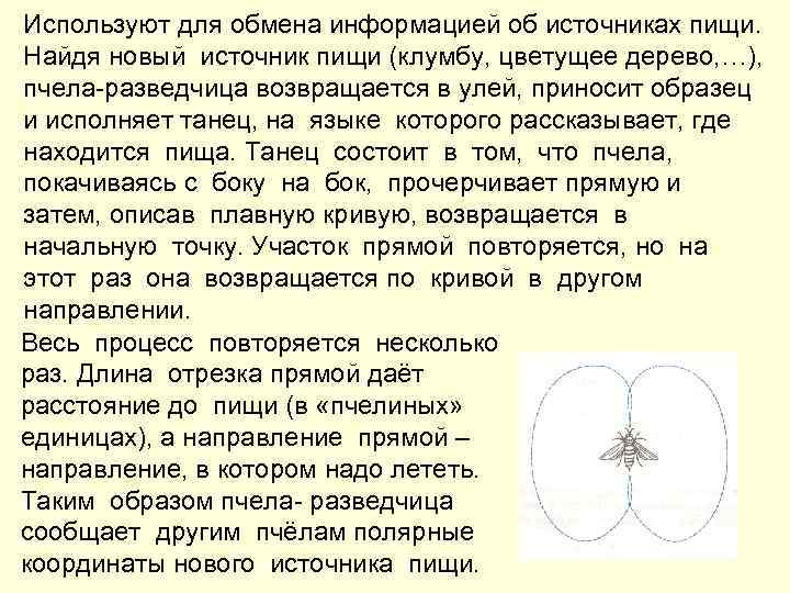 Используют для обмена информацией об источниках пищи. Найдя новый источник пищи (клумбу, цветущее дерево,