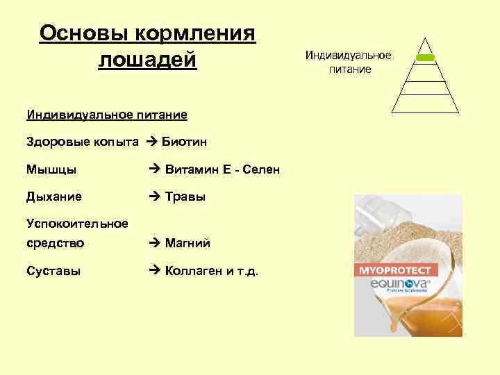 Основы кормления лошадей Индивидуальное Основы кормления лошадей Индивидуальное
