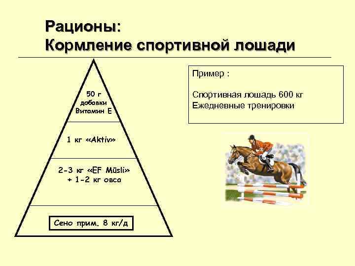 Рационы: Кормление спортивной лошади Пример : 50 г Рационы: Кормление спортивной лошади Пример : 50 г