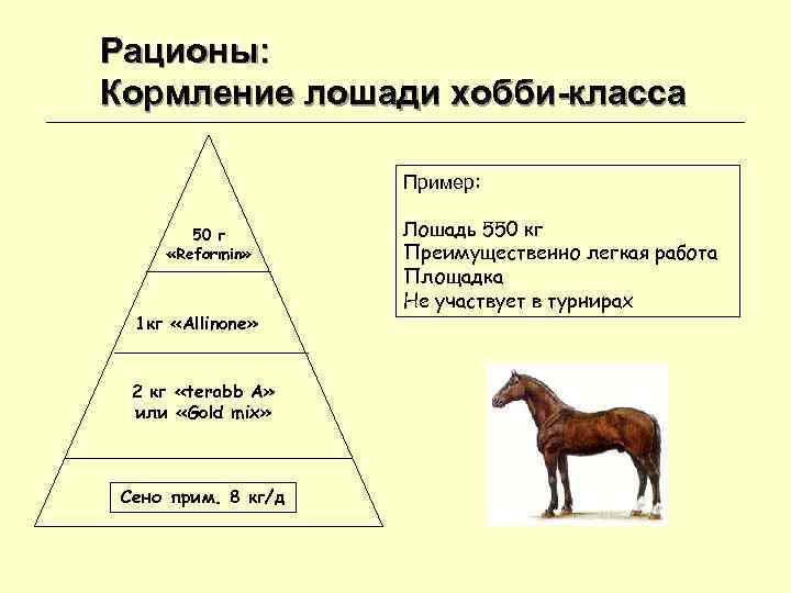 Рационы: Кормление лошади хобби-класса Пример: 50 г Лошадь Рационы: Кормление лошади хобби-класса Пример: 50 г Лошадь