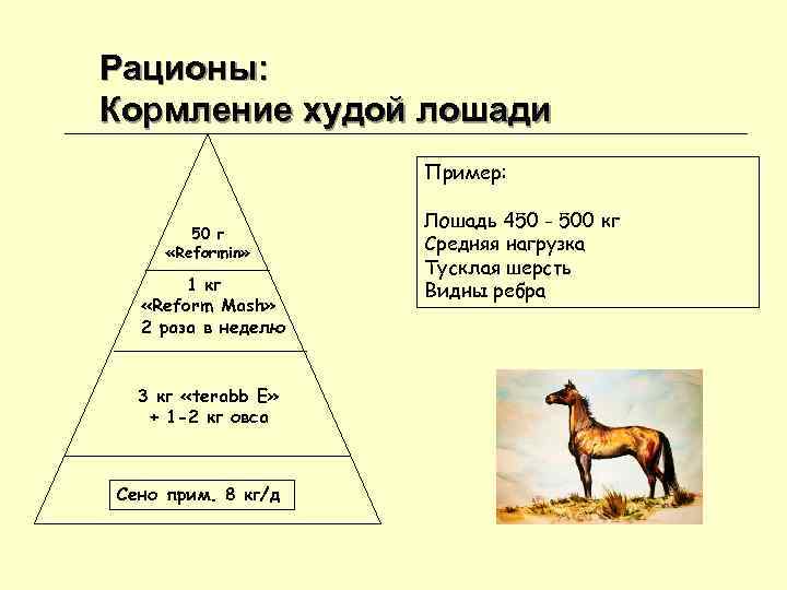 Рационы: Кормление худой лошади Пример: Лошадь 450 Рационы: Кормление худой лошади Пример: Лошадь 450