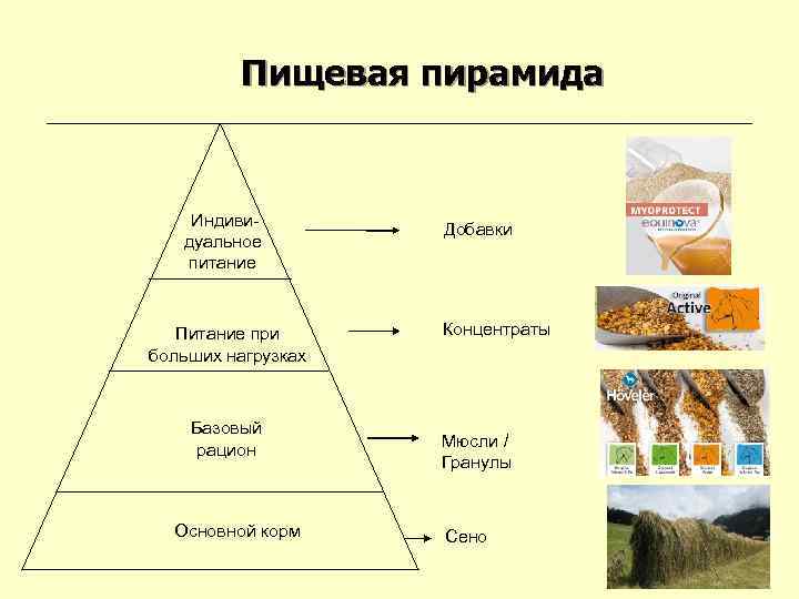 Пищевая пирамида Индиви- Добавки дуальное питание Пищевая пирамида Индиви- Добавки дуальное питание