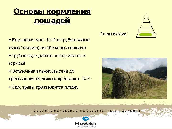 Основы кормления лошадей Основной корм • Ежедневно мин. 1 Основы кормления лошадей Основной корм • Ежедневно мин. 1