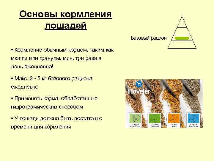 Основы кормления лошадей Базовый Основы кормления лошадей Базовый