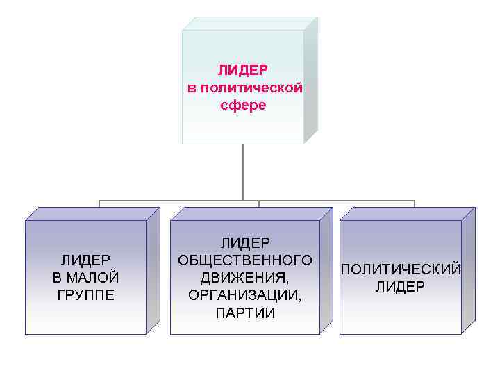 ЛИДЕР в политической сфере ЛИДЕР в политической сфере