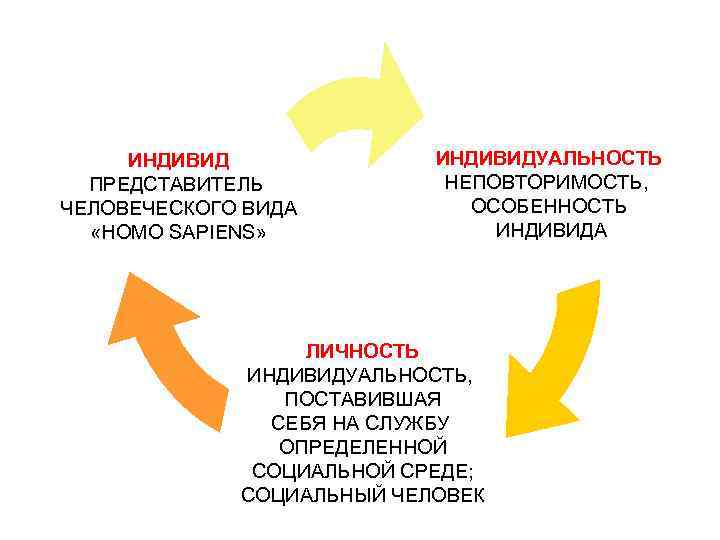 ИНДИВИД ИНДИВИДУАЛЬНОСТЬ ПРЕДСТАВИТЕЛЬ НЕПОВТОРИМОСТЬ, ЧЕЛОВЕЧЕСКОГО ВИДА ИНДИВИД ИНДИВИДУАЛЬНОСТЬ ПРЕДСТАВИТЕЛЬ НЕПОВТОРИМОСТЬ, ЧЕЛОВЕЧЕСКОГО ВИДА