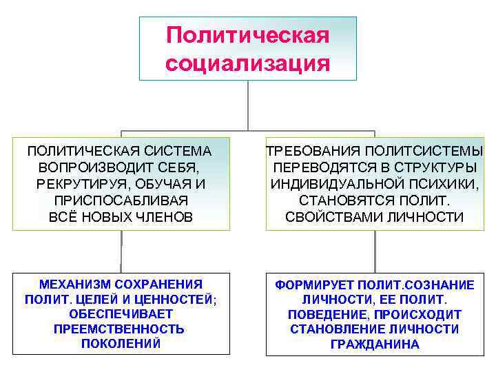 Функция социализации политики