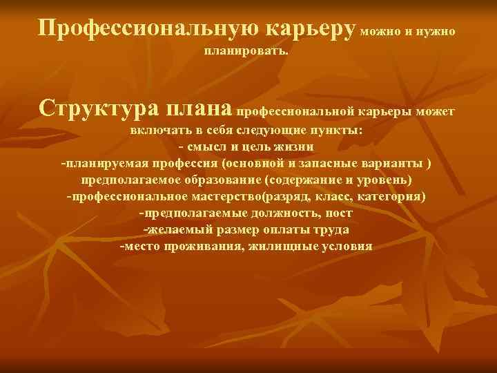 Профессиональную карьеру можно и нужно    планировать. Структура плана профессиональной карьеры может
