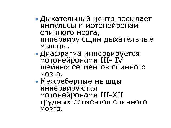  Дыхательный центр посылает  импульсы к мотонейронам  спинного мозга,  иннервирующим дыхательные