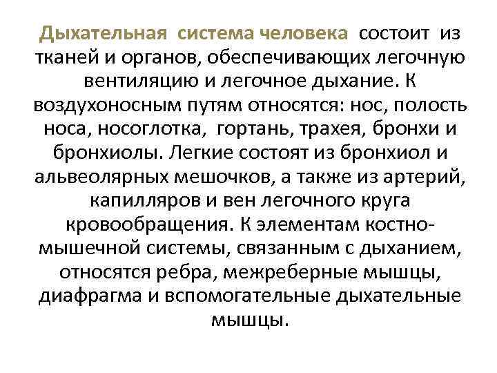  Дыхательная система человека состоит из тканей и органов, обеспечивающих легочную  вентиляцию и