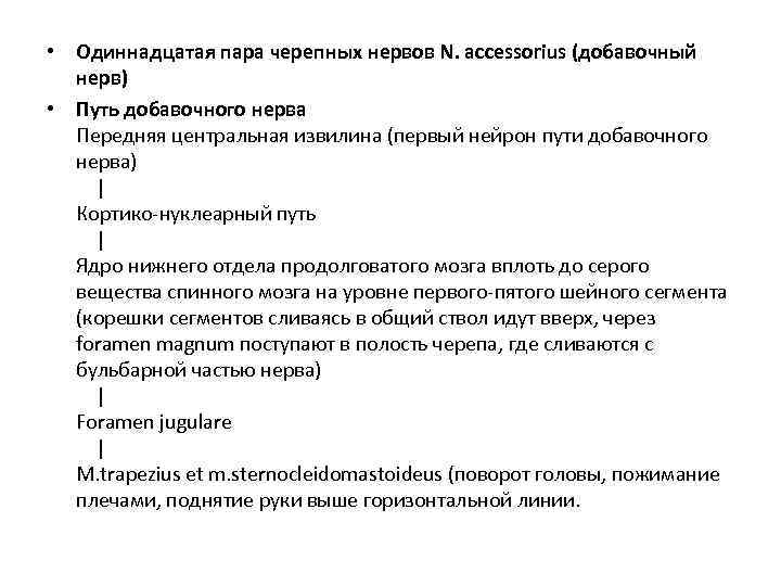  • Одиннадцатая пара черепных нервов N. accessorius (добавочный  нерв) • Путь добавочного