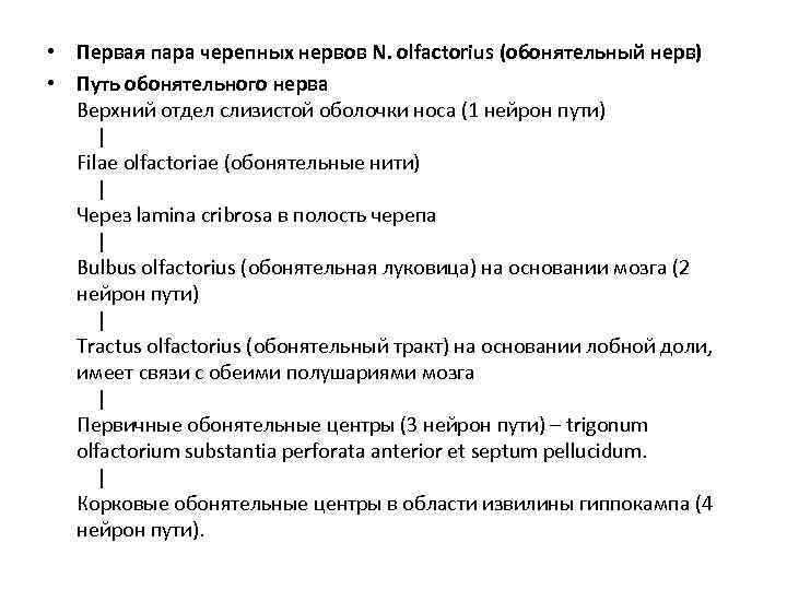  • Первая пара черепных нервов N. olfactorius (обонятельный нерв) • Путь обонятельного нерва