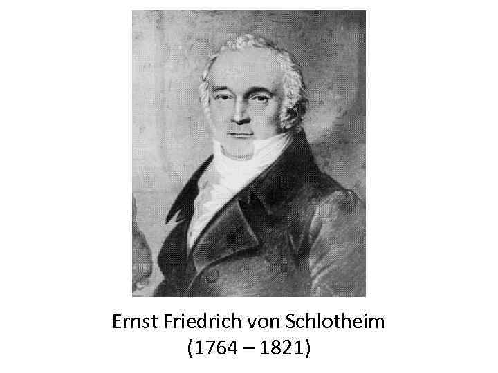 Ernst Friedrich von Schlotheim   (1764 – 1821) 