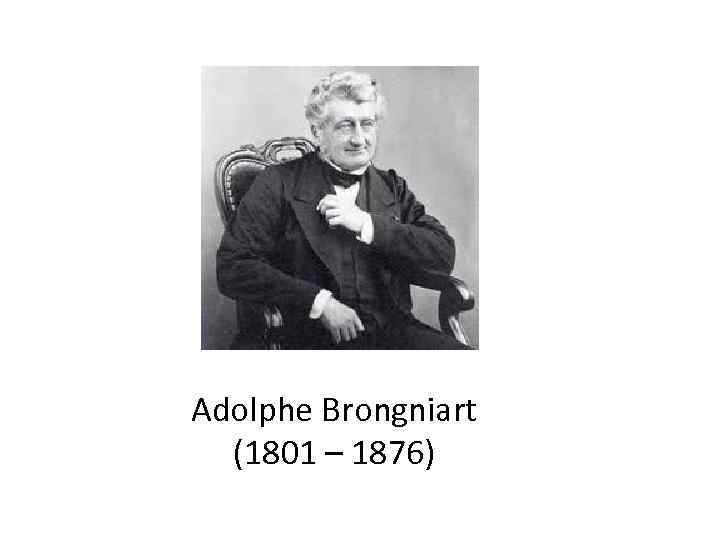 Adolphe Brongniart  (1801 – 1876) 