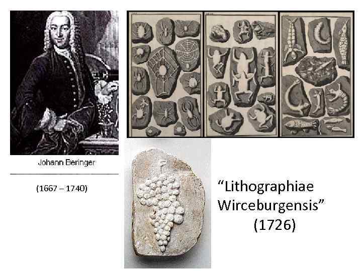 (1667 – 1740)  “Lithographiae   Wirceburgensis”    (1726) 